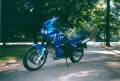 1993: Tiger 900. Bel engin, et quel moteur !